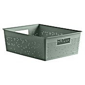 Tatay Bohol Cesta para baño (L x An x Al: 39 x 39 x 13,5 cm, Verde sage) | BAUHAUS