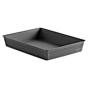 Tatay Bohol Organizador A4 (L x An x Al: 26,5 x 35 x 5,5 cm, Antracita) | BAUHAUS