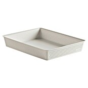Tatay Bohol Organizador A4 (L x An x Al: 26,5 x 35 x 5,5 cm, Blanco sky) | BAUHAUS