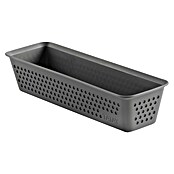 Tatay Bohol Organizador Slim (L x An x Al: 8,5 x 26 x 5,5 cm, Antracita) | BAUHAUS