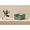 Tatay Bohol Cesta para baño (L x An x Al: 17,5 x 27 x 11,5 cm, Verde sage) | BAUHAUS