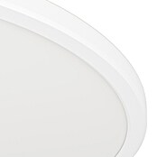 Eglo LED-Deckenleuchte Minerario (20,2 W, Ø x H: 39 x 3 cm, Schwarz, Warmweiß) | BAUHAUS