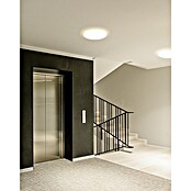 Eglo LED stropna svjetiljka Minerario  (20,2 W, Ø x V: 39 x 3 cm, Topla bijela) | BAUHAUS