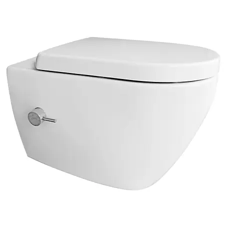 Temtasi  Wand-Dusch-WC Alesta