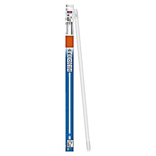 Osram LED Leuchtstoffröhre T8 (Länge: 60,3 cm, Tageslichtweiß, 8 W, 900 lm, G13)