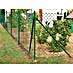 Floraworld Viereckgeflecht 
