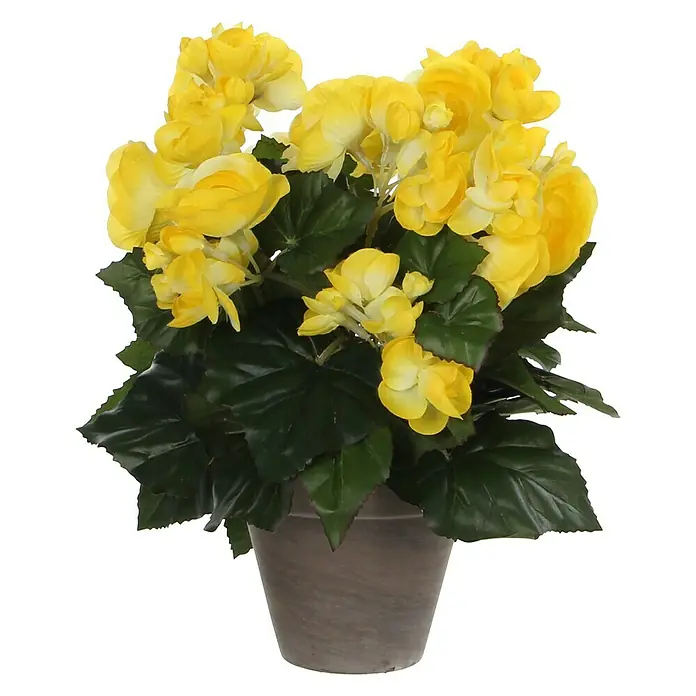 Planta artificial Begonia - Altura: 30 cm, Amarillo, Plástico - Begonias amarillas artificiales en una maceta. Flor artificial decorativa para un ambiente hogareño con toques de color vibrantes.