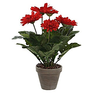 Edelmann Umjetna biljka Gerbera (Visina: 35 cm, Crvene boje, Plastika)