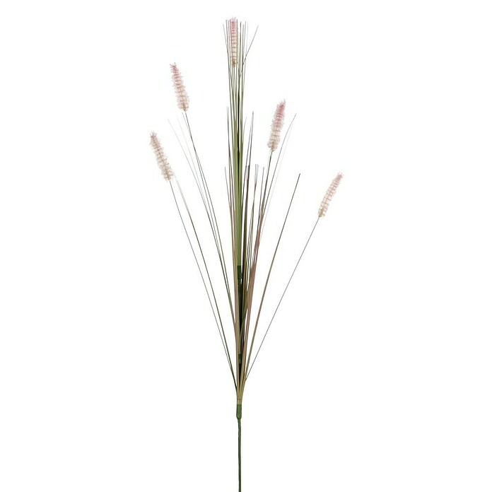 Umjetna biljka Cynosurus cristatus  (Visina: 84 cm, Plastika) | BAUHAUS