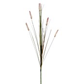 Umjetna biljka Cynosurus cristatus  (Visina: 84 cm, Plastika) | BAUHAUS