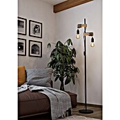 Eglo Townshend Stajaća svjetiljka  (20 W, Visina: 166,5 cm, Smeđe boje, Crne boje, E27) | BAUHAUS