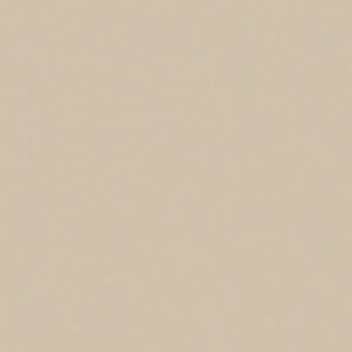 SCHÖNER WOHNEN-Farbe Wandfarbe Designfarbe - Gemütliches Wollbeige, Matt, 2,5 l, Konservierungsmittelfrei - Elegante, einfarbige Fläche in einem sanften Beigeton, ideal für minimalistische Designs und ruhige Hintergründe.
