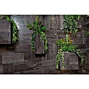 Azteca Feinsteinzeugfliese Cosmos Lux (L x B: 60 x 60 cm, Negro) | BAUHAUS