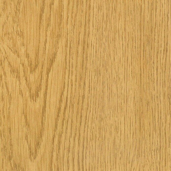 Sockelleiste FU18L (L x B x H: 2 400 x 18,5 x 38,5 mm, MDF, Eiche hell) | BAUHAUS