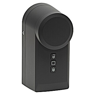 Homematic IP Funk-Türschlossantrieb HmIP-DLD-A (Anthrazit, Batteriebetrieben, 36 x 56 x 118 mm)