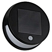 Paulmann Solarna zunanja stenska svetilka s senzorjem Helena  (3 W, IP44, 300 lm) | Solarne svetilke | Zunanja svetila | Elektro in svetila | Izdelki | BAUHAUS