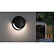 Paulmann Solarna zunanja stenska svetilka s senzorjem Helena  (3 W, IP44, 300 lm) | Solarne svetilke | Zunanja svetila | Elektro in svetila | Izdelki | BAUHAUS