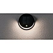 Paulmann Solarna zunanja stenska svetilka s senzorjem Helena  (3 W, IP44, 300 lm) | Solarne svetilke | Zunanja svetila | Elektro in svetila | Izdelki | BAUHAUS