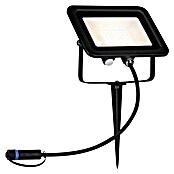 Paulmann Plug & Shine Vrtna LED spot svjetiljka Fluter  (Topla bijela, D x Š x V: 26 x 160 x 145 mm) | BAUHAUS