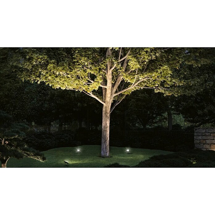 Paulmann Plug & Shine Vrtna LED spot svjetiljka Fluter  (Topla bijela, D x Š x V: 26 x 160 x 145 mm) | BAUHAUS