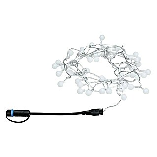 Paulmann Plug & Shine LED svjetlosni lanac (Na otvorenom, Boja svjetla: Topla bijela, Broj žarulja: 48 Kom., Duljina: 5 m)