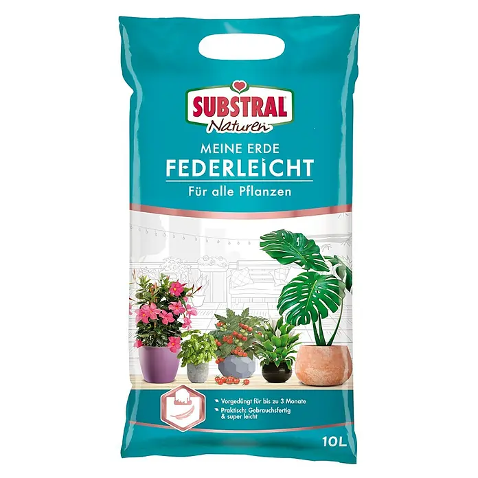 culinaris saatgut für lebensmittel Bio-Saatgut – Trendbox main image 1