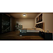 Ledvance Orbis Led-plafondlamp, rond Slim Moia (20 W, Ø x h: 28 x 4 cm, Zwart, Warm wit) | BAUHAUS