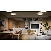 Ledvance Orbis Led-plafondlamp, rond Berlin (36 W, Ø x h: 49,2 x 8 cm, Zilver, Warm wit) | BAUHAUS