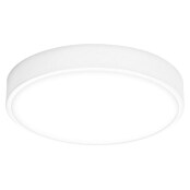 Ledvance Orbis Led-plafondlamp, rond Slim Moia (20 W, Ø x h: 28 x 4 cm, Warm wit) | BAUHAUS