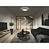 Osram Led-plafondlamp, rond Berlin (16 W, Ø x h: 29,3 x 6,5 cm, Zwart, Warm wit) | BAUHAUS