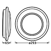 Osram Led-plafondlamp, rond Berlin (16 W, Ø x h: 29,3 x 6,5 cm, Zwart, Warm wit) | BAUHAUS