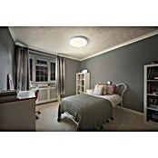 Ledvance Orbis Led-plafondlamp, rond Slim Moia (36 W, Ø x h: 48 x 5 cm, Warm wit) | BAUHAUS
