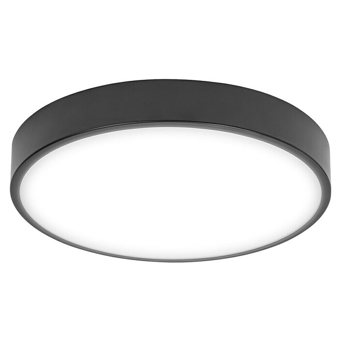 Ledvance Orbis Led-plafondlamp, rond Slim Moia (20 W, Ø x h: 28 x 4 cm, Zwart, Warm wit) | BAUHAUS
