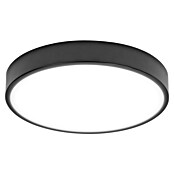 Ledvance Orbis Led-plafondlamp, rond Slim Moia (20 W, Ø x h: 28 x 4 cm, Zwart, Warm wit) | BAUHAUS