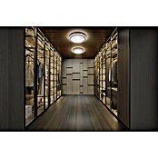 Ledvance Led-plafondlamp, rond (42 W, Ø x h: 50,5 x 6 cm, Wit, Warm wit) | BAUHAUS