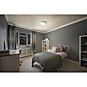 Ledvance Orbis Led-plafondlamp, rond Slim Moia (20 W, Ø x h: 28 x 4 cm, Warm wit) | BAUHAUS