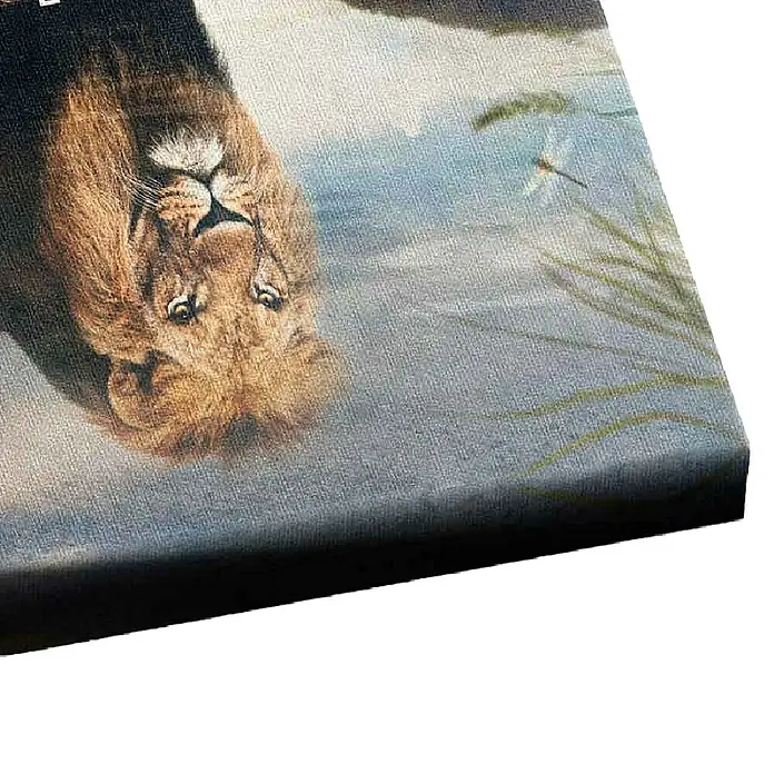 Dotcomcanvas Leinwandbild - Mindset Is Everything Africa, B x H: 75 x 100 cm - Nahaufnahme eines detailreichen Leinwandbildes mit einem majestätischen Löwen und subtilen Grasdetails, das die Kunstfertigkeit hervorhebt.