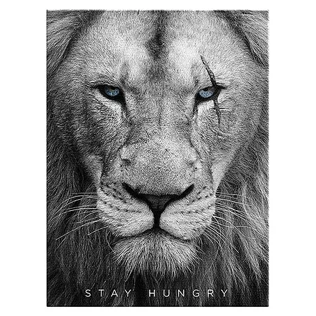 Dotcomcanvas  Leinwandbild