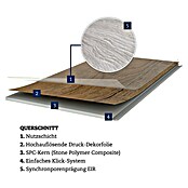 Vinylboden Strong SPC Structure Mississippi (1.220 x 228 x 3,8 mm, Landhausdiele, Mississippi) | BAUHAUS