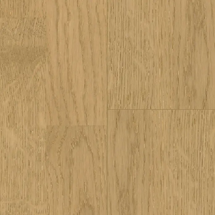 Parador Parkettmuster Basic 11.5 Rustikal Eiche Malbec leicht geweißt - 200 x 185 x 11,5 mm, Schiffsboden - Nahaufnahme des Musters eines hellen Eichenlaminatbodens, der eine natürliche Holzstruktur aufweist.