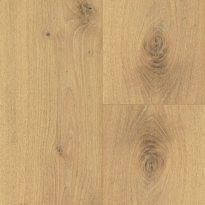Parador Parkettmuster Classic 3060 Rustikal Eiche gebürstet weiß ( (200 x 185 x 13 mm, Landhausdiele) -  - Ansicht von hellem Eichenparkett mit sichtbarer Maserung und Astlöchern. Das Parkett hat eine warme, natürliche Ausstrahlung.