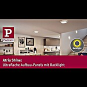 Paulmann LED-Panel Atria Shine (Durchmesser: 19 cm, 12,5 W, Chrom, Neutralweiß) | BAUHAUS