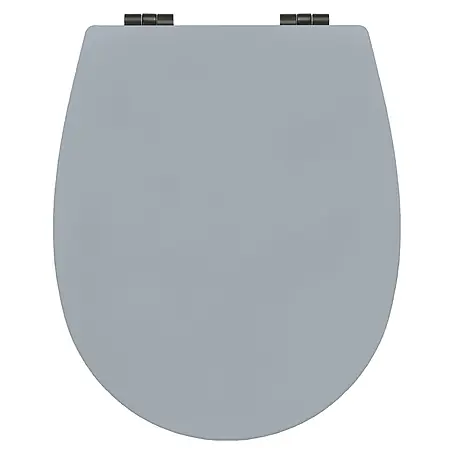 Bemis  WC-Sitz Hudson