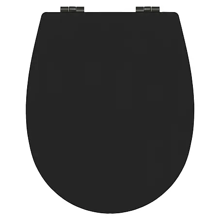 Bemis  WC-Sitz Hudson