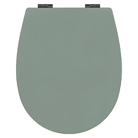 Bemis  WC-Sitz Hudson