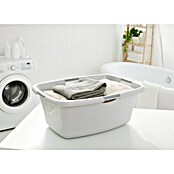 WÄSCHEWANNE 50l FLOWERS COOL GREY