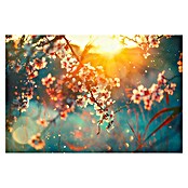 Leinwandbild Akustikbild (Cherry Blossom, B x H: 70 x 50 cm) | BAUHAUS