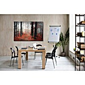 Leinwandbild Akustikbild (Herbstwald, B x H: 120 x 80 cm) | BAUHAUS