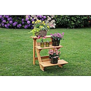Promadino Blumentreppe  (60 x 50 x 56 cm, Braun)