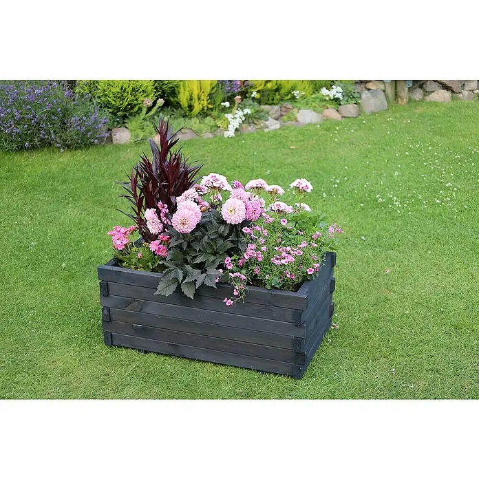 Promadino Pflanzkasten Lucca - Außenmaß (L x B x H): 69 x 39 x 29,5 cm, Holz, Anthrazit - Ein rechteckiger, dunkler Holzkasten, bepflanzt mit rosa Dahlien und purpurfarbenen Akzentpflanzen, steht auf einem grünen Rasen im Garten.